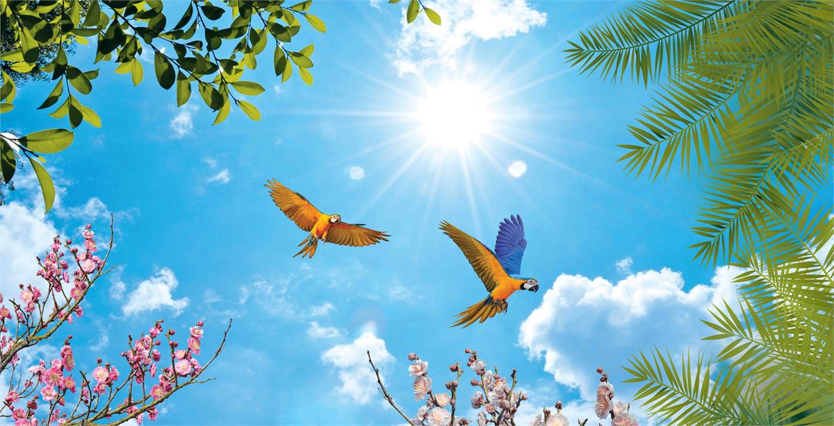 پرواز طوطی ها در آسمان بهاری با شکوفه