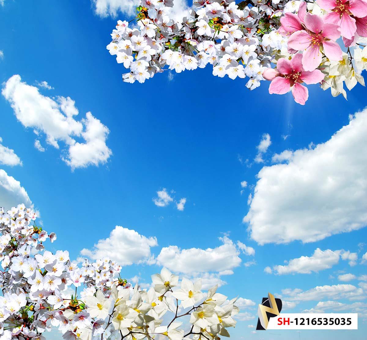آسمان و شکوفه بهاری سفید صورتی